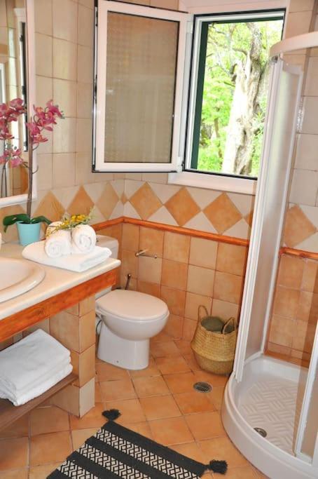 Villa Erietta Near Lefkas Center Apolpaina Eksteriør bilde