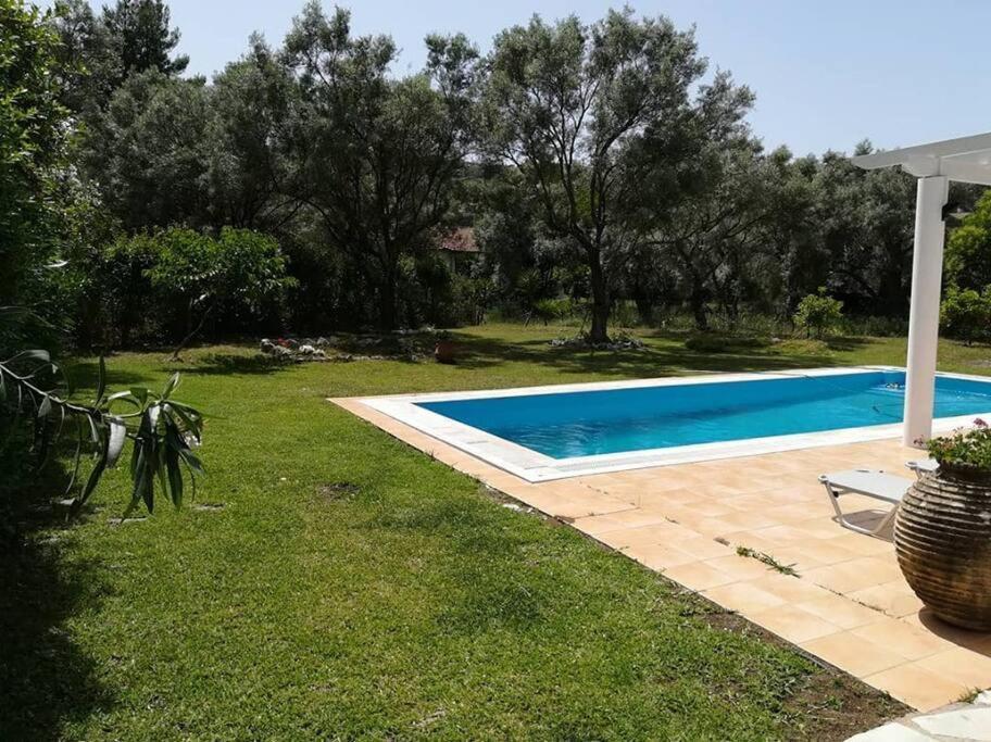 Villa Erietta Near Lefkas Center Apolpaina Eksteriør bilde